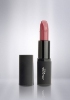 رژ لب بلاش آرکانسیل Arcancil Rouge Blush (کد رنگ 344)