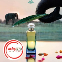 3 تصویر عطر ادکلن هرمس آن جاردین اپرس لا موشن | Hermes Un jardin apres la mousson
