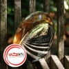 تصویر  عطر ادکلن مونت بلنک پرنسس د آن اینتنس | Mont Blanc Presence d´Une Femme Intense
