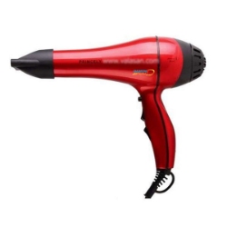 سشوار حرفه ای پرینسلی مدل PR228
