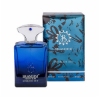 عطر جیبی مردانه برندینی مدل اینترلود ایریس حجم 33 میلی لیتر